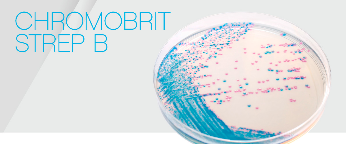 Chromobrit Strep B