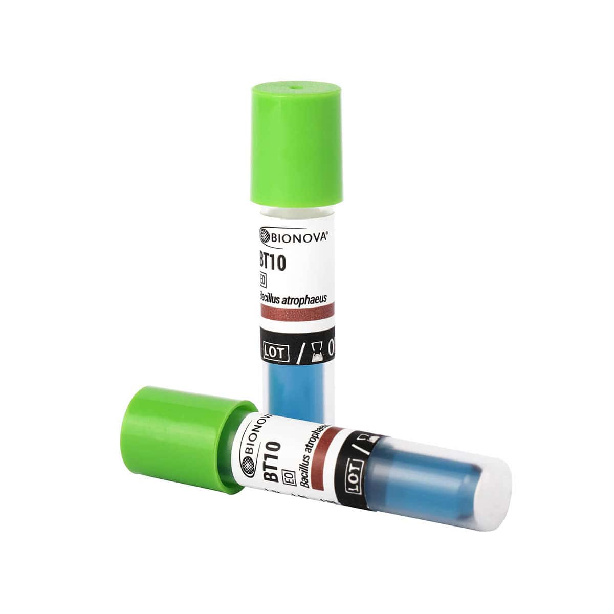 Indicador biológico de 48 h para óxido de etileno