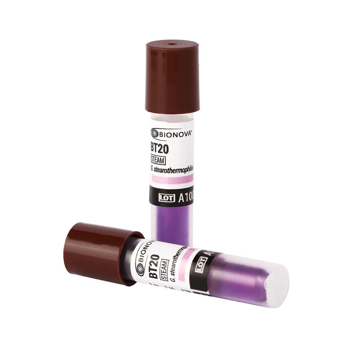 Indicador biológico de 24 h para vapor