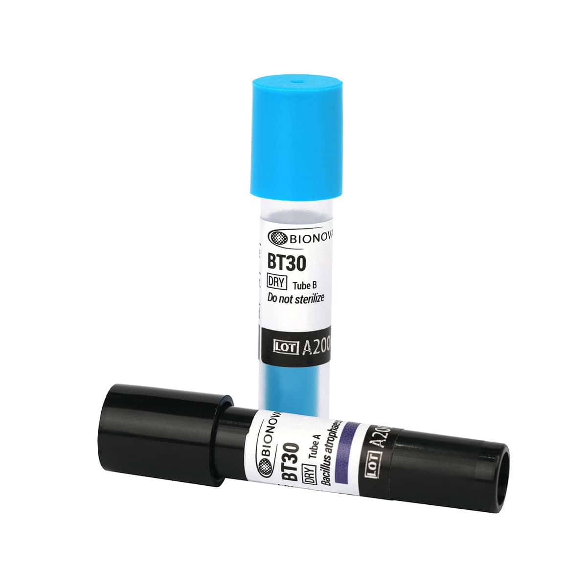 Indicador biológico de 48 h para calor seco