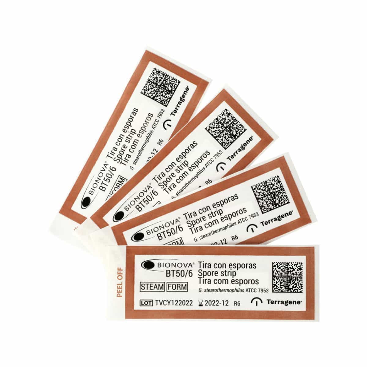 Tiras de esporas para Vapor y formaldehído