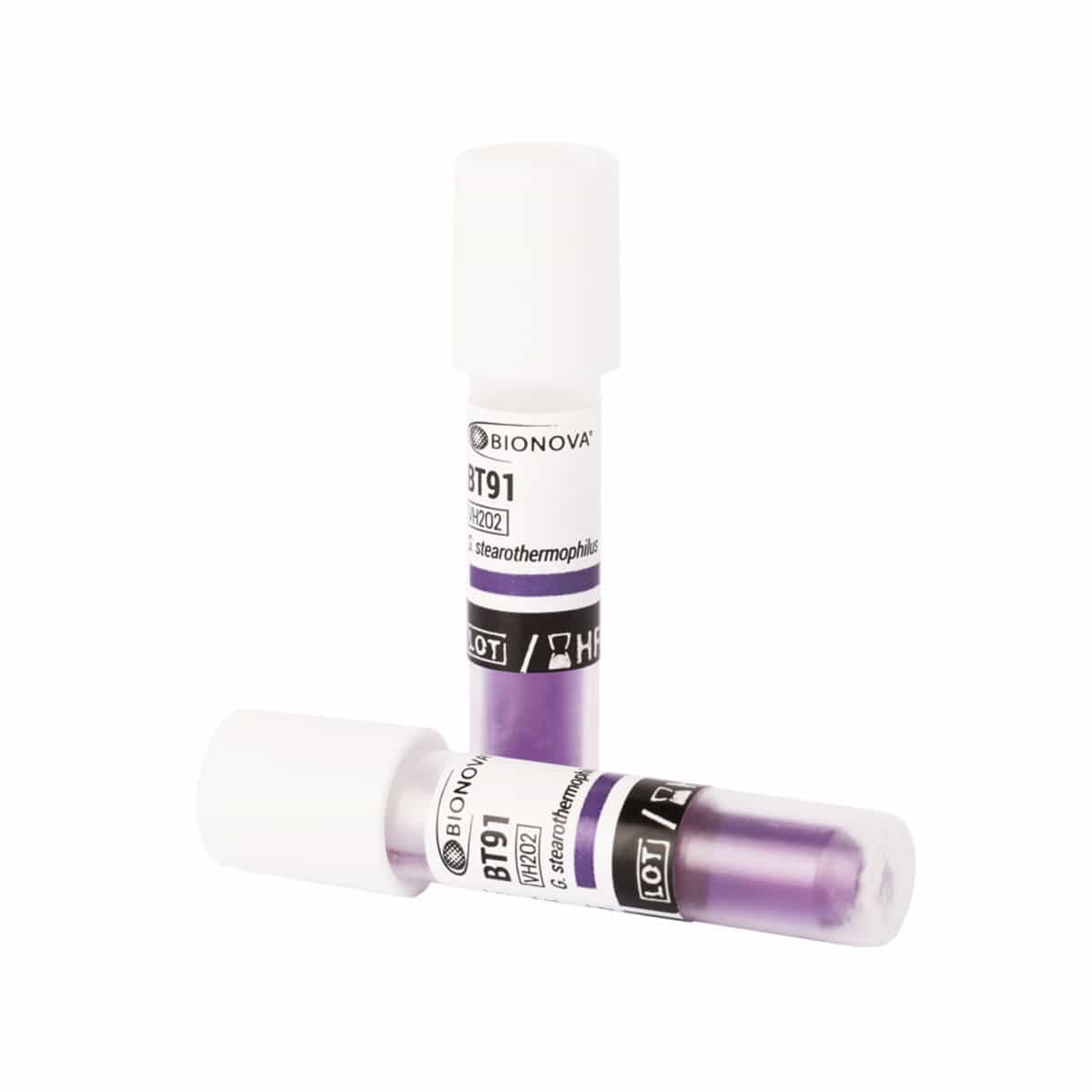 Indicador biológico de 24 h para peróxido de hidrógeno