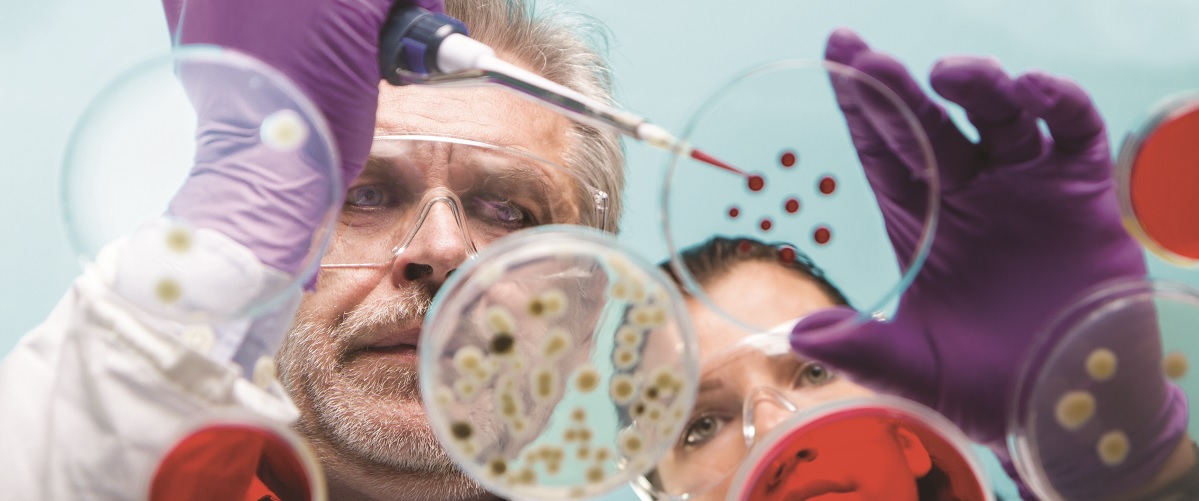 Empresas representadas